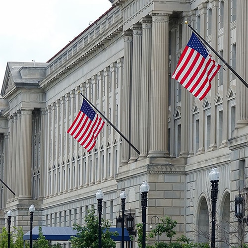 government